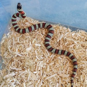 2014 09 02 13 58 40 1