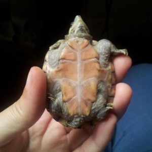 10419544 10204051426342283 7364833713358154295 n