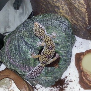 10672202 10153202446642178 3118941456450390024 n