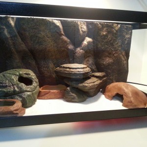 10430837 10153018216407178 4493734880081596015 n