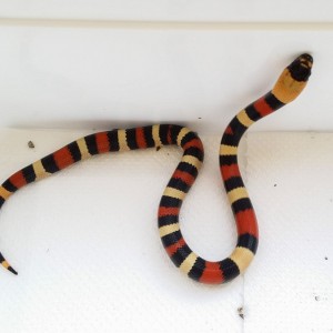 2014 09 18 15 04 34 1