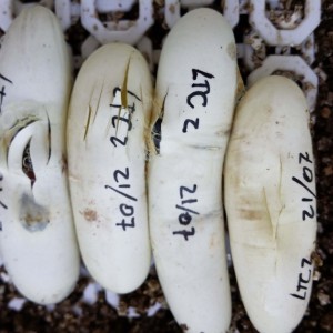 2014 09 18 15 07 24 1