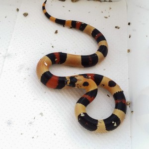 2014 09 18 15 08 50 1