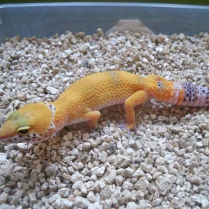 10716205 1696574143901407 1094638203 n