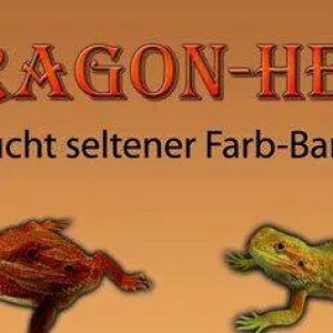 10841412 766608783394144 1271010857 n