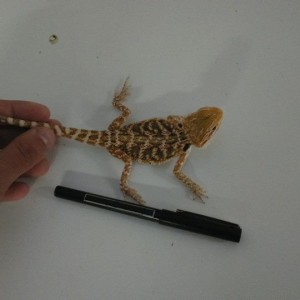 10806263 10152554201977918 13969045630231204 n