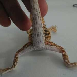 1911996 10152554202517918 5884705171506443739 n