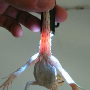 1377566 10152554203127918 6781247393224839910 n