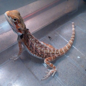 10151784 10152554211652918 7052908309032223747 n