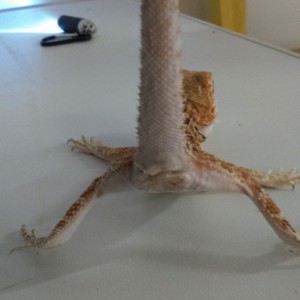 10350402 10152554212227918 8966871394262652925 n