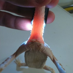 1970562 10152554212332918 1602243825298851779 n