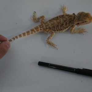 1484345 10152554245287918 1863677555415432199 n