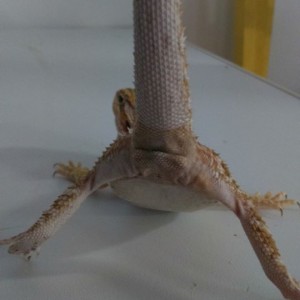 10401890 10152554245467918 5561792295148019370 n