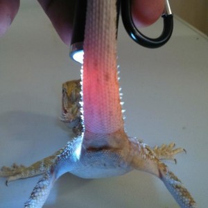 10480207 10152554245627918 1644146814282454380 n