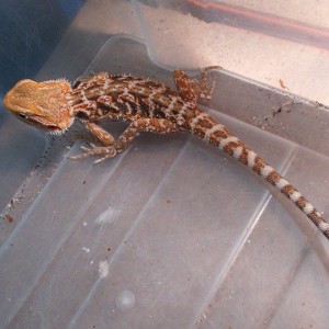 10868036 10152554201707918 3752064434970454137 n