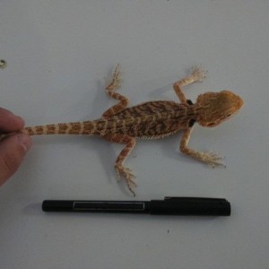 10420177 10152554211762918 4890424238688824033 n