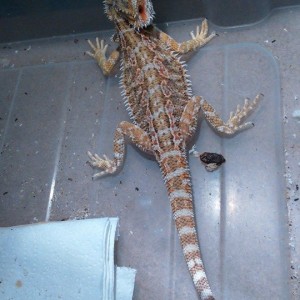 10868040 10152554245122918 335660833777267725 n