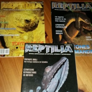 20150115 181546 resized