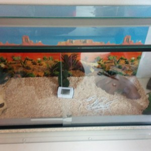 1429890668986 1991099876