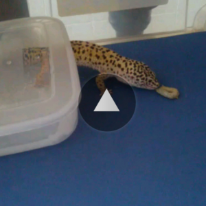 Screenshot 2015 05 10 03 45 21