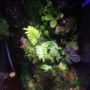 11121311 939840076036552 913191112 n