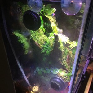 11225841 939840069369886 818386198 n