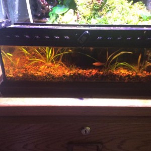 11225928 939840046036555 971624706 n