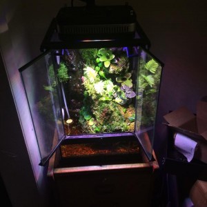 11262253 939840049369888 278605478 n