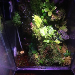 11267710 939840092703217 453804794 n