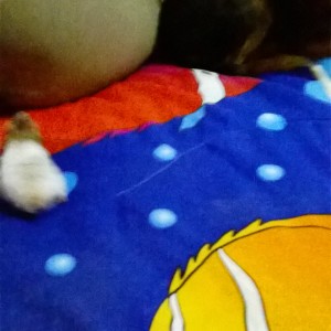 Pati con mi perro y madre