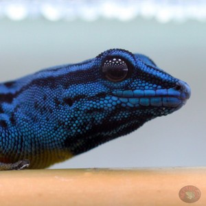 10505056_315143015318777_9196971509917293656_o