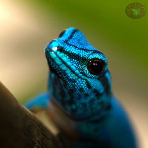 10498086_308460102653735_7900981896107570236_o