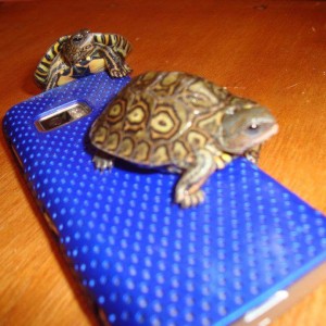 Sid y Zedd   2011 3 meses