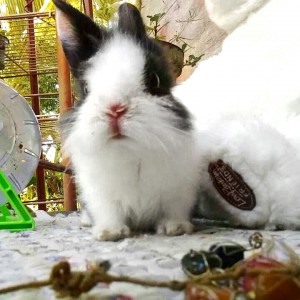 PicsArt_1396836311618