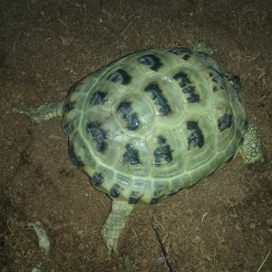 12404396_10205310262503121_469736261_n