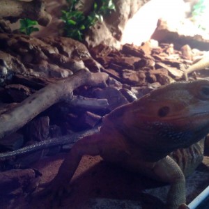 5b0e87db-baf3-4cce-8a26-eb6b8c019f3c