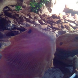 22b99630-13c2-425e-9dcb-c498509e5a27