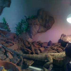 62c06413-f0d3-4ee3-b76d-788386778b0d