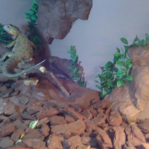 Ba259177-557f-4984-ae35-4413563a60f1