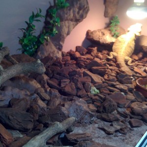 E7675b51-7906-4225-96e7-3f28347bb1d0