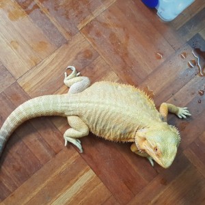 Thumb_20160514_143606_1024