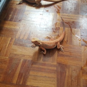 Thumb_20160514_143659_1024