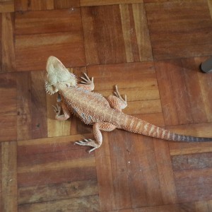 Thumb_20160514_143717_1024