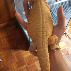 Thumb_20160514_144017_1024