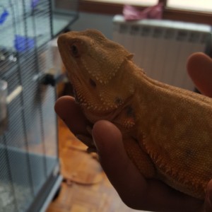 Thumb_20160514_144021_1024