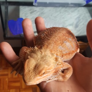 Thumb_20160514_144053_1024