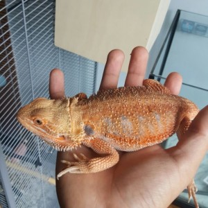 Thumb_IMG-20160514-WA0009_1024