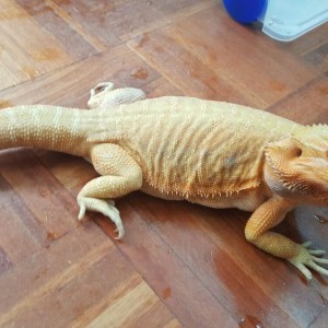 Thumb_IMG-20160514-WA0010_1024