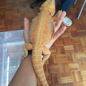 Thumb_IMG-20160514-WA0011_1024