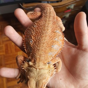 Thumb_IMG-20160514-WA0012_1024